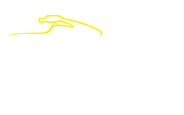 <p></noscript><img class=