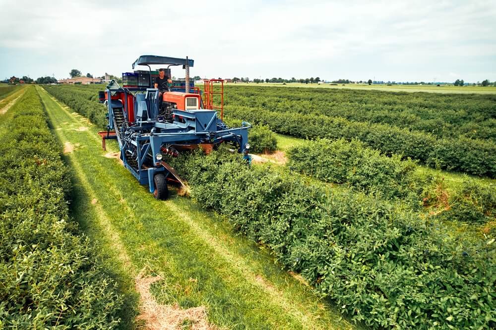 Consórcio rural: o caminho para o progresso no campo