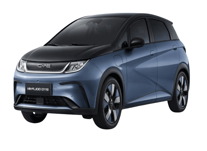 consorcio byd dolphin