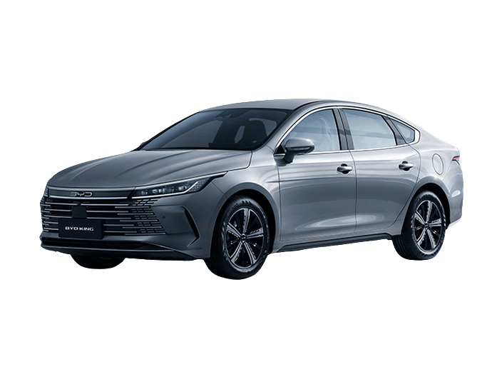 consorcio byd