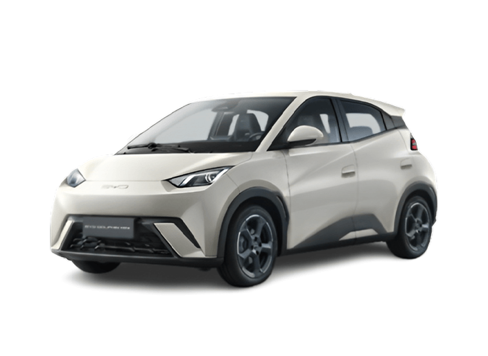 consórcio byd dolphin