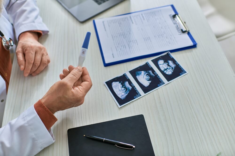 como funciona fertilização in vitro como funciona fertilização in vitro
