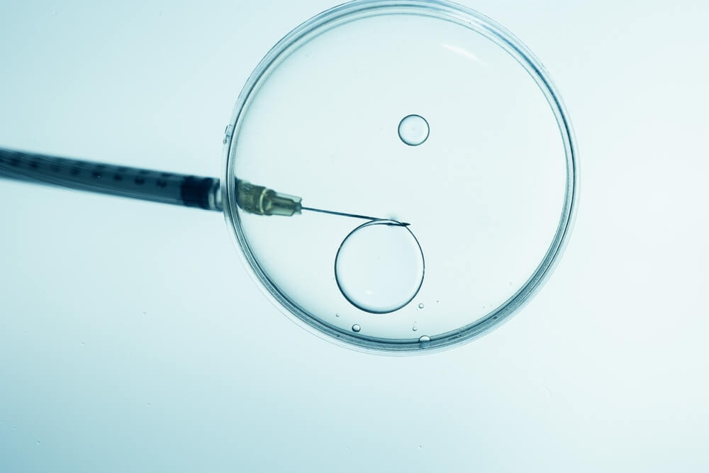 fertilização in vitro